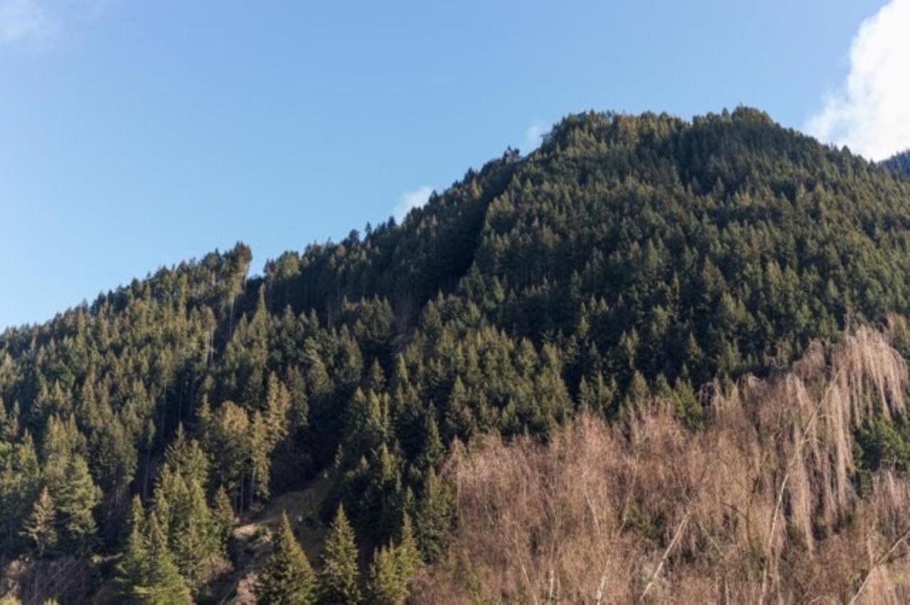 Mountain View City Apartment Κουίνσταουν Εξωτερικό φωτογραφία